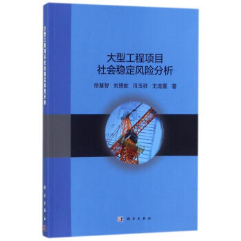 大型工程项目社会稳定风险分析 pdf epub mobi 电子书 下载