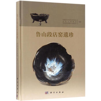 鲁山段店窑遗珍 pdf epub mobi 下载