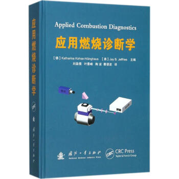 应用燃烧诊断学 pdf epub mobi 下载