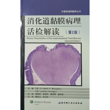 消化道黏膜病理活檢解讀（第2版）華夏病理網翻譯叢書樊祥山等譯北京科學技 pdf epub mobi 下载