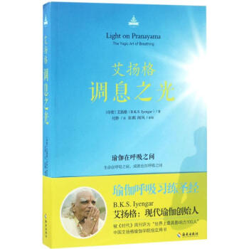 艾揚格調息之光 pdf epub mobi 下载