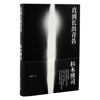 直到长出青苔 艺术 摄影 作品集 作品赏析 摄影理论 日本国宝*摄影师杉本博司文字 pdf epub mobi 下载