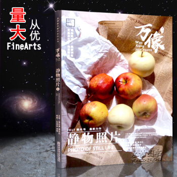 【多本低折扣】正版新书 2017 万像静物照片 单体组合素描静物写生 静物质感表现技法 解