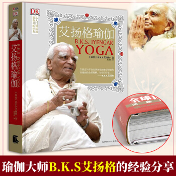 艾揚格瑜伽 DK瑜伽練習經典從入門到精通 瑜伽書籍瑜伽練習指南運動健身美體 瑜伽療法哈他 pdf epub mobi 下载