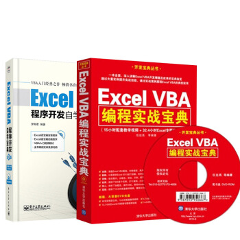 1b【全2册】Excel VBA程序开发自学宝典(第3版)+Excel VBA编程实战宝典