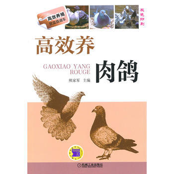 正版 高效養肉鴿 鴿子養殖技術書大全 鴿子疾病診斷與防治 養鴿子書籍 pdf epub mobi 電子書 下載