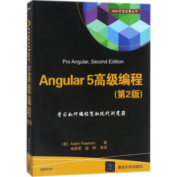 Angular5高级编程(第2版) pdf epub mobi 下载