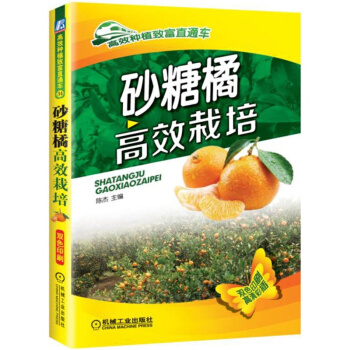 砂糖橘高效栽培 高效种植致富直通车 果树栽培技术 病虫害防治 农作物种植技术 水果栽培管理