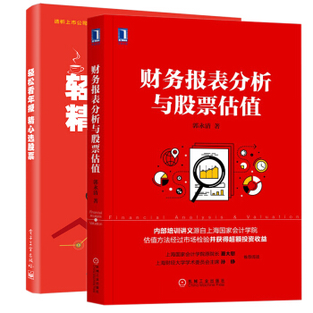 財務報錶分析與股票估值 輕鬆看年報 精心選股票 上市公司財務報錶分析解讀 投資 pdf epub mobi 下载