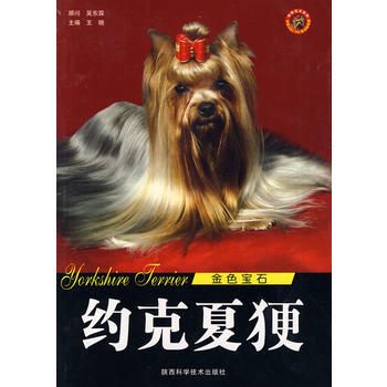 约克夏更/金色宝石 畅销书籍 时尚生活 正版 王晓 pdf epub mobi 下载