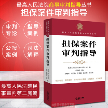 正版 担保案件审判指导 担保物权 担保财产 新型担保 典当行 抵押物 高人民法院民事 法律