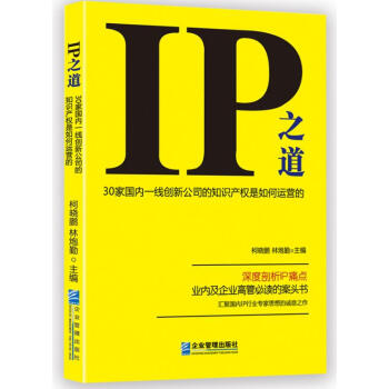 IP之道：30傢國內一綫創新公司的知識産權是如何運營的 pdf epub mobi 下载