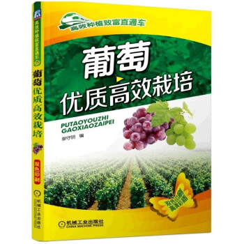 葡萄优质高效栽培 pdf epub mobi 下载