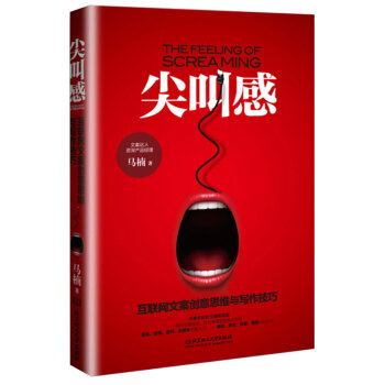 尖叫感：互聯網文案創意思維與寫作技巧 pdf epub mobi 下载