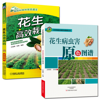 花生病虫害原色图谱+花生高效栽培(高效种植致富直通车) 全2册 花生栽培种植技术大全书籍