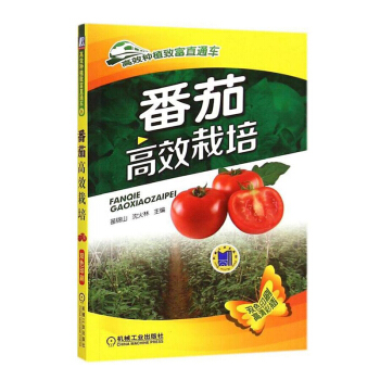 番茄高效栽培 番茄種植技術書籍 西紅柿栽培技術大全書籍 番茄病蟲害防治 農業種植技術書籍