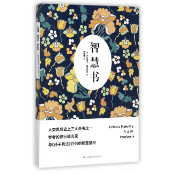 智慧書 pdf epub mobi 下载