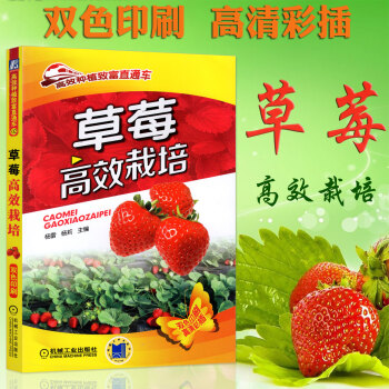 草莓高效栽培大棚暖棚草莓种植技术大全书籍草莓病虫害诊断与防治技术书草莓育苗技术种植书农业种