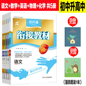 全套5冊 初升高銜接教材 語文+數學+英語+物理+化學 初中升高中暑假作業初中學生升學畢業 pdf epub mobi 下载