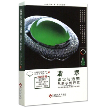 翡翠鉴定与购从新手到行家 翡翠鉴定书籍 翡翠收藏与鉴赏赌石业内揭秘 玉石入门知识百科图书 pdf epub mobi 下载