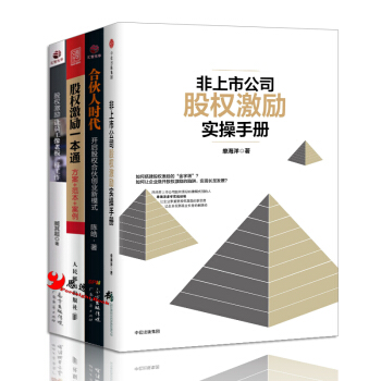 股权【套装4册】股权激励一本通 方案+范本+案例+非上市公司股权激励实操手册+合伙人时代 pdf epub mobi 下载