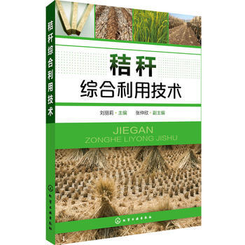 正版：秸秆综合利用技术 9787122298126 pdf epub mobi 电子书 下载