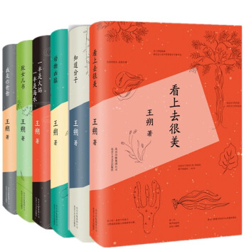 王朔文集全套6冊 2015新版精裝xs pdf epub mobi 下载