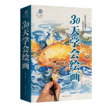 绘画书30天学会绘画素描教程彩铅画入门教程彩铅教程画画书人物素描静物 绘画教程美术教材书 pdf epub mobi 下载