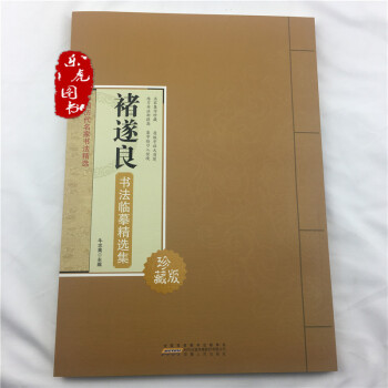 褚遂良书法临摹精选集 中国历代名家书法精选 名家集字 原版放大临习 毛笔书法字帖 pdf epub mobi 下载