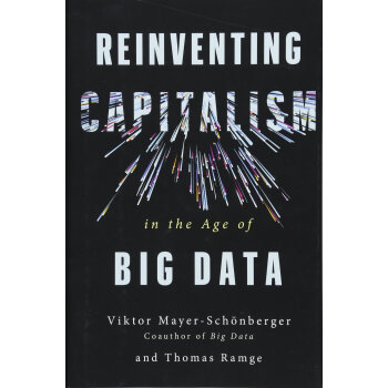 Reinventing Capitalism in the Age of Big Data 英文原版 pdf epub mobi 电子书 下载