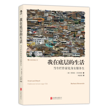 我在底层的生活-当专栏作家化身女服务生 pdf epub mobi 下载