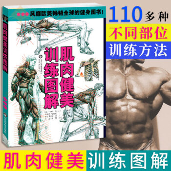 肌肉健美训练图解(新版) 体育运动 保健养生 运动健康 健身技巧指导 健身训练方法 锻炼肌肉 健美 pdf epub mobi 下载