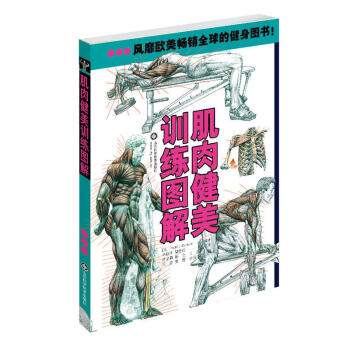 肌肉健美训练图解(新版) 体育运动 保健养生 运动健康 健身技巧指导 健身训练方法