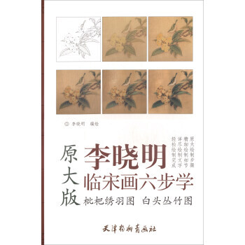 枇杷绣羽图 白头丛竹图(原大版)/李晓明临宋画六步学 湖北新华书店 pdf epub mobi 下载