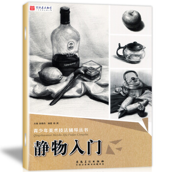 QI正版现货 青少年美术技法辅导丛书 静物入门 零基础素描教程临摹范本绘画入门学习正规教材