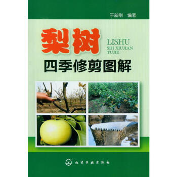 梨树四季修剪图解 梨树高产管理专业 梨树种植技术大全 梨树高效栽培技术 水果种植技术书