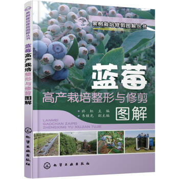 蓝莓高产栽培整形与修剪图解 蓝莓栽培种植技术大全书籍 图说种植蓝莓教程书 科学高效高产量