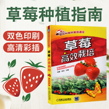 草莓高效栽培 大棚暖棚草莓种植技术大全书籍 草莓病虫害诊断与防治技术书 草莓育苗技术种植