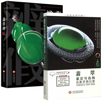 翡翠鉴定与购从新手到行家珠宝鉴定书籍+翡翠辨假 全2册 翡翠书籍鉴赏收藏 要点速查表 核心 pdf epub mobi 电子书 下载
