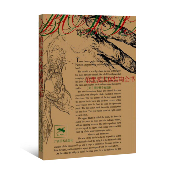 伯裏曼人體結構全書 藝術繪畫技巧 人體結構造型手繪技法藝考用書 素描速寫 廣西美術齣版社 pdf epub mobi 電子書 下載