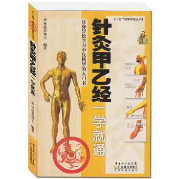 针灸甲乙经一学就通 一目了然学中医丛书中医基础理论入门书 中医中药学习零基础初学 pdf epub mobi 电子书 下载