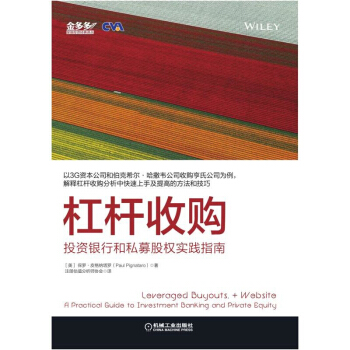 杠杆收购 投资银行和私募股权实践指南 杠杆收购分析方法技巧书籍 pdf epub mobi 下载