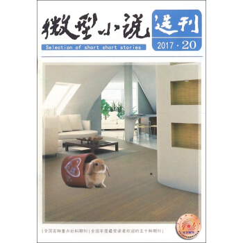 微型小說選刊(2017年10月第20期總第698期旬刊) pdf epub mobi 電子書 下載