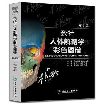 奈特人体解剖学彩色图谱第6版 解剖图谱经典 第六版 张卫光翻译版双语全彩图教材书人民卫生出版社