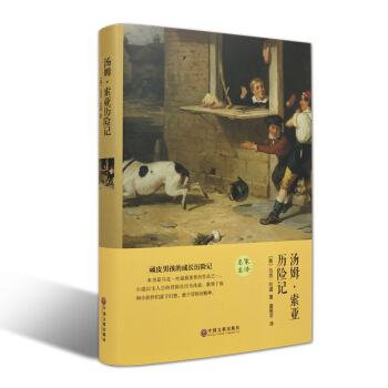 汤姆索亚历险记（精装全译本） 世界经典文学小说名家名译 原著原版 全中文完整版图书 pdf epub mobi 下载