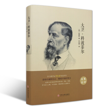 大卫科波菲尔 （精装全译本） 世界经典文学小说名家名译 原著原版 全中文 pdf epub mobi 下载
