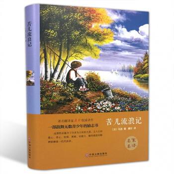 苦儿流浪记 （精装全译本） 世界经典文学小说名家名译 原著原版 全中文完整版图书 课外知识 pdf epub mobi 下载