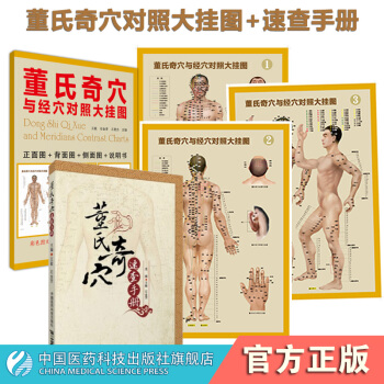 董氏奇穴與經穴對照掛圖董氏奇穴速查手冊全套共二冊中國醫藥科技齣版社 pdf epub mobi 電子書 下載