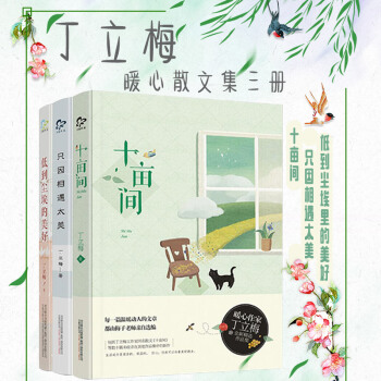 暖心作家 丁立梅 全新散文精选集 十亩间+只因相遇太美+低到尘埃的美好 全三册 pdf epub mobi 下载