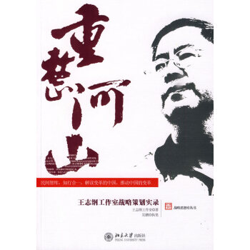 重整河山-王志纲工作室战略策划实录
